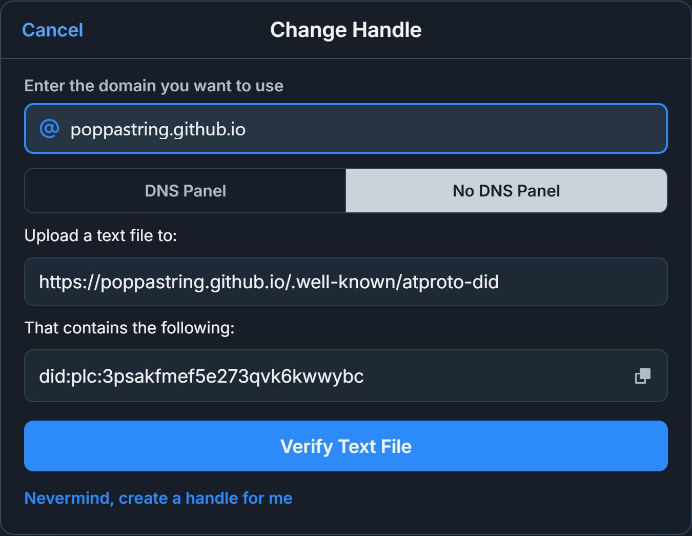 bluesky-no-DNS-panel